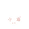 Acne & Acne Scar